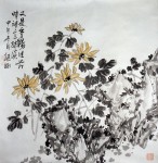 花鸟